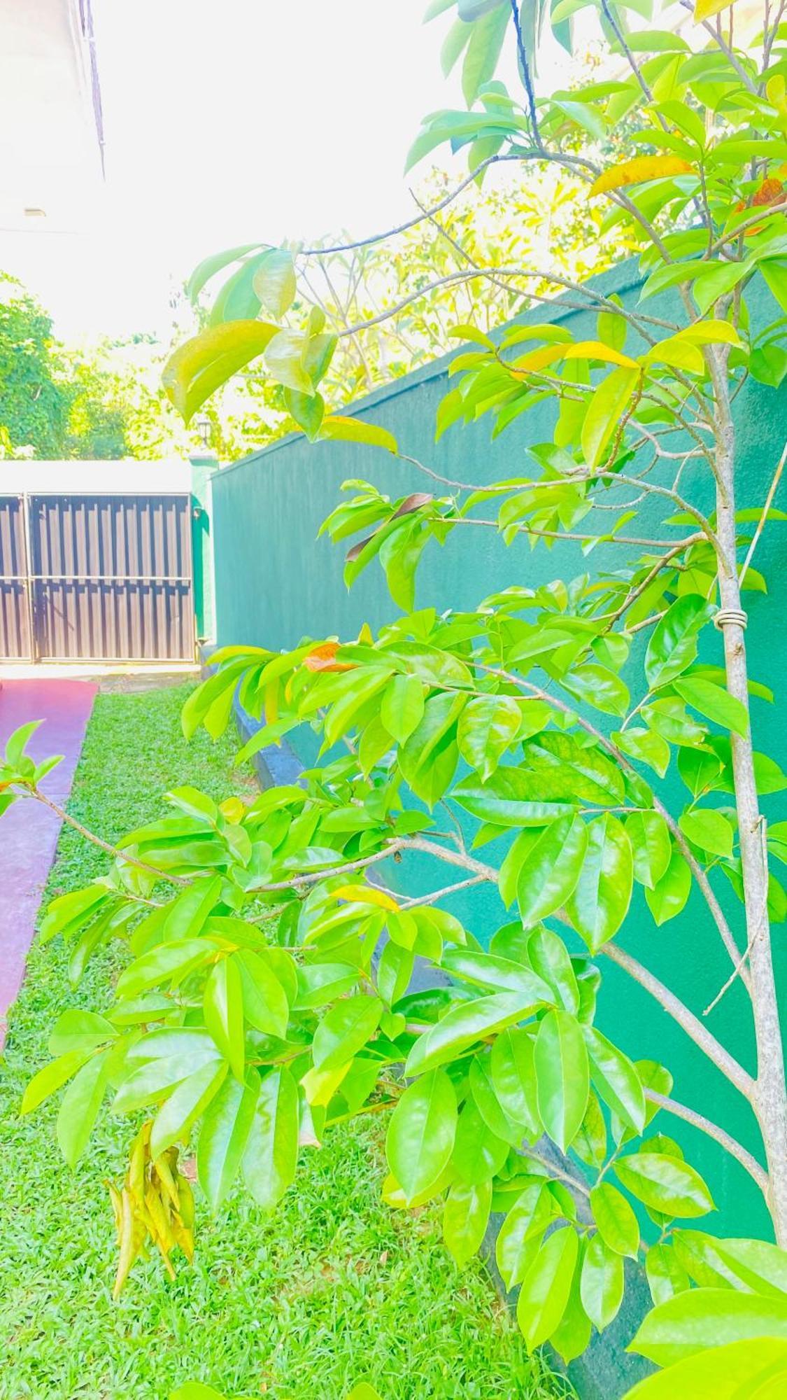 Sanasuma Villa Бентота Екстериор снимка